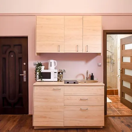 Historic Charm, Modern Comfort - In The Heart Of The Old Town Lägenhet *