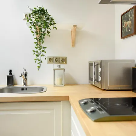 Historic Charm, Modern Comfort - In The Heart Of The Old Town Apartment Bucharest